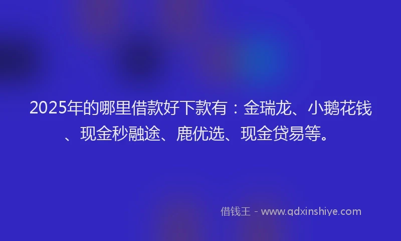 2025年的哪里借款好下款有：金瑞龙、小鹅花钱、现金秒融途、鹿优选、现金贷易等。