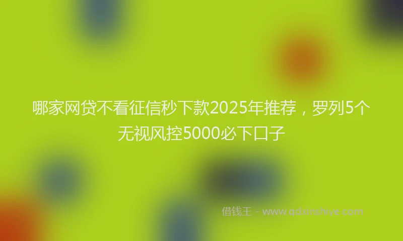 哪家网贷不看征信秒下款2025年推荐，罗列5个无视风控5000必下口子