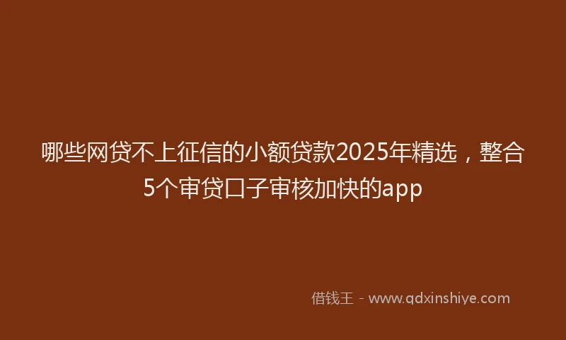 哪些网贷不上征信的小额贷款2025年精选，整合5个审贷口子审核加快的app