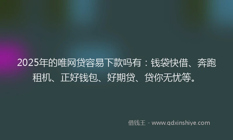2025年的唯网贷容易下款吗有：钱袋快借、奔跑租机、正好钱包、好期贷、贷你无忧等。