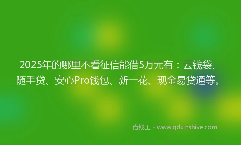 2025年的哪里不看征信能借5万元有：云钱袋、随手贷、安心Pro钱包、新一花、现金易贷通等。