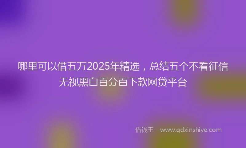 哪里可以借五万2025年精选，总结五个不看征信无视黑白百分百下款网贷平台