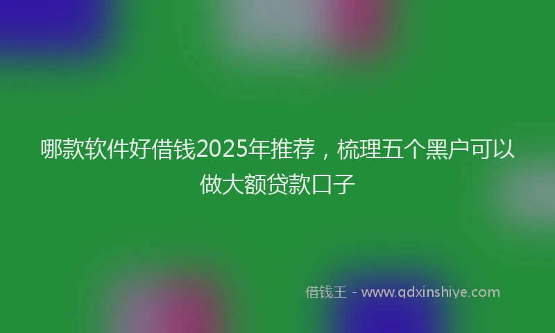 哪款软件好借钱2025年推荐，梳理五个黑户可以做大额贷款口子