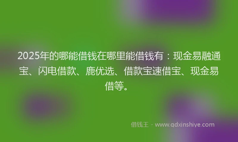2025年的哪能借钱在哪里能借钱有：现金易融通宝、闪电借款、鹿优选、借款宝速借宝、现金易借等。