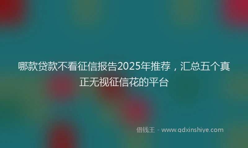哪款贷款不看征信报告2025年推荐，汇总五个真正无视征信花的平台