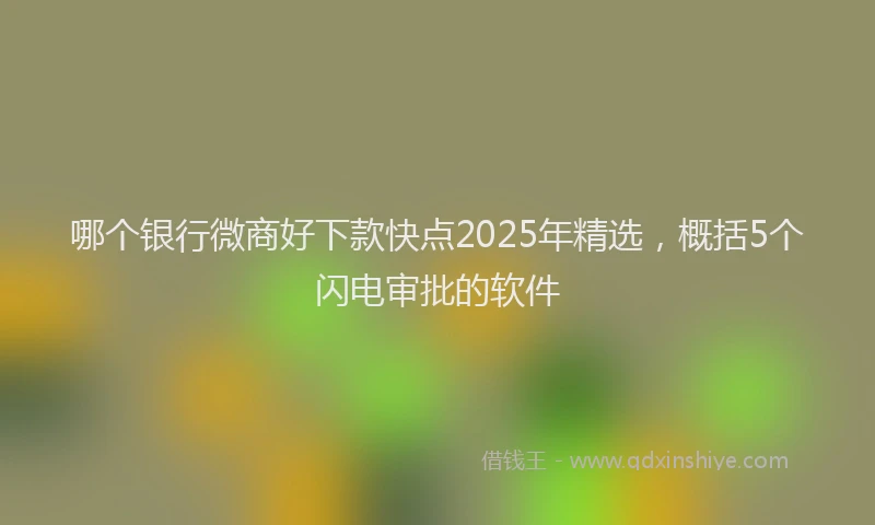 哪个银行微商好下款快点2025年精选，概括5个闪电审批的软件