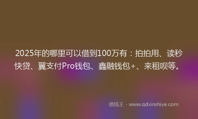 2025年的哪里可以借到100万有：拍拍用、读秒快贷、翼支付Pro钱包、鑫融钱包+、来租呗等。