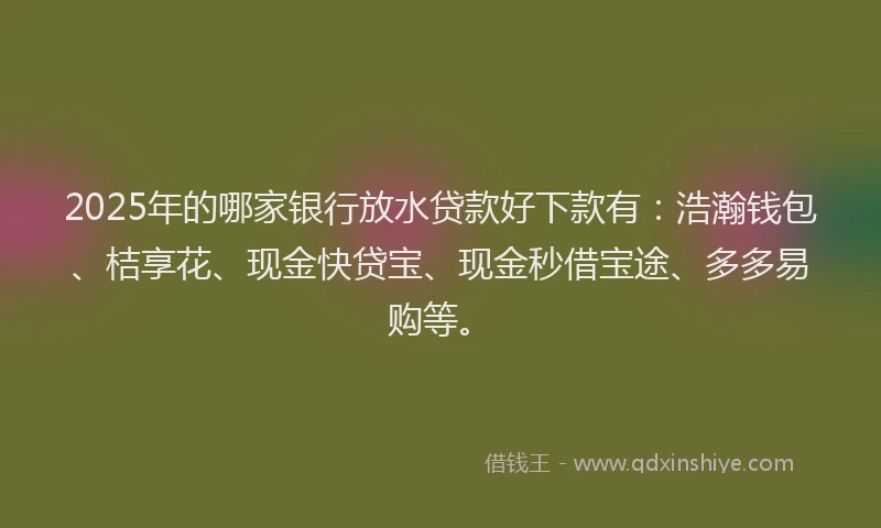 2025年的哪家银行放水贷款好下款有：浩瀚钱包、桔享花、现金快贷宝、现金秒借宝途、多多易购等。