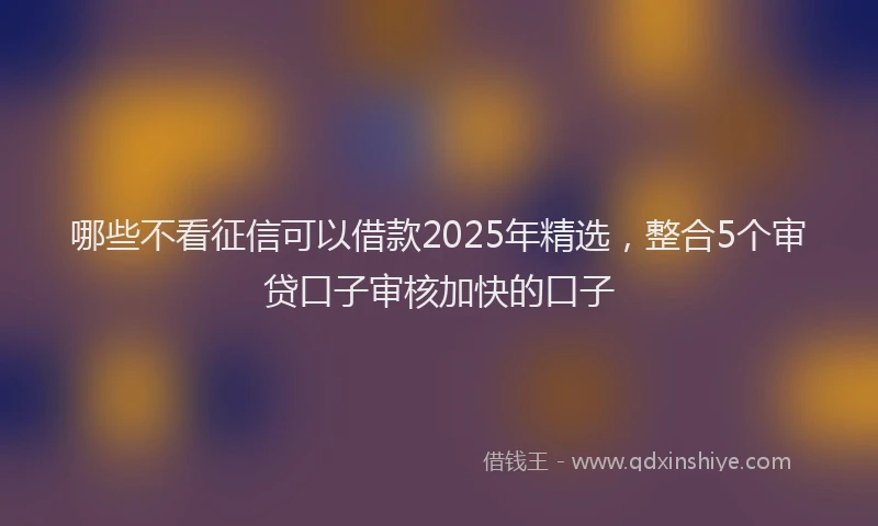 哪些不看征信可以借款2025年精选，整合5个审贷口子审核加快的口子