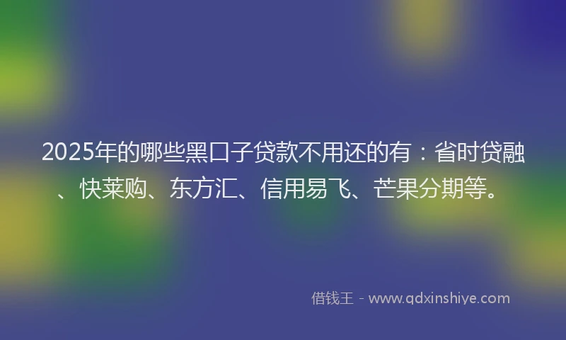 2025年的哪些黑口子贷款不用还的有：省时贷融、快莱购、东方汇、信用易飞、芒果分期等。