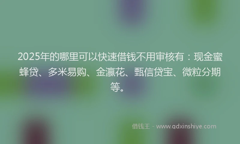 2025年的哪里可以快速借钱不用审核有：现金蜜蜂贷、多米易购、金瀛花、甄信贷宝、微粒分期等。