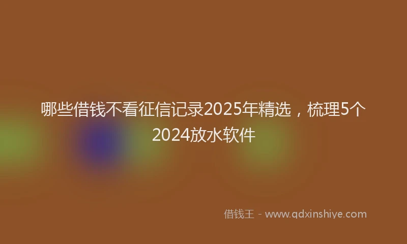 哪些借钱不看征信记录2025年精选，梳理5个2024放水软件