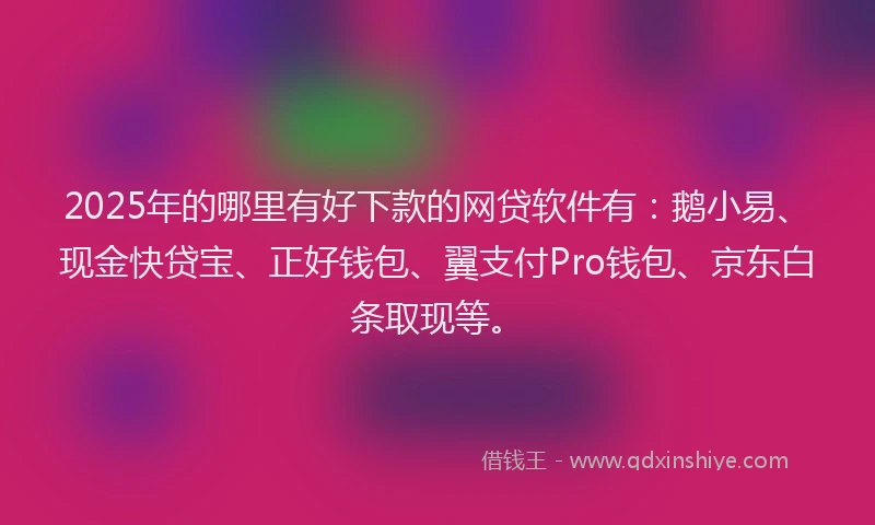 2025年的哪里有好下款的网贷软件有：鹅小易、现金快贷宝、正好钱包、翼支付Pro钱包、京东白条取现等。