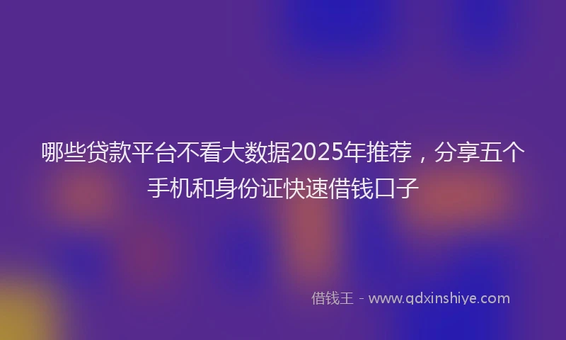 哪些贷款平台不看大数据2025年推荐，分享五个手机和身份证快速借钱口子
