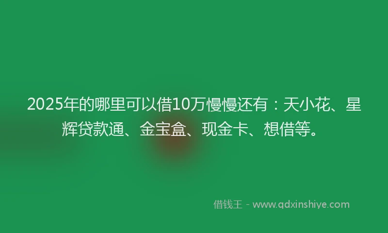 2025年的哪里可以借10万慢慢还有：天小花、星辉贷款通、金宝盒、现金卡、想借等。