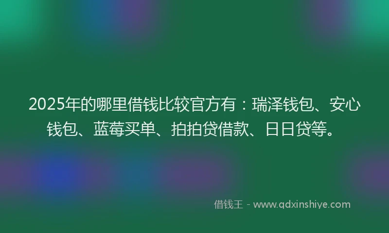 2025年的哪里借钱比较官方有：瑞泽钱包、安心钱包、蓝莓买单、拍拍贷借款、日日贷等。