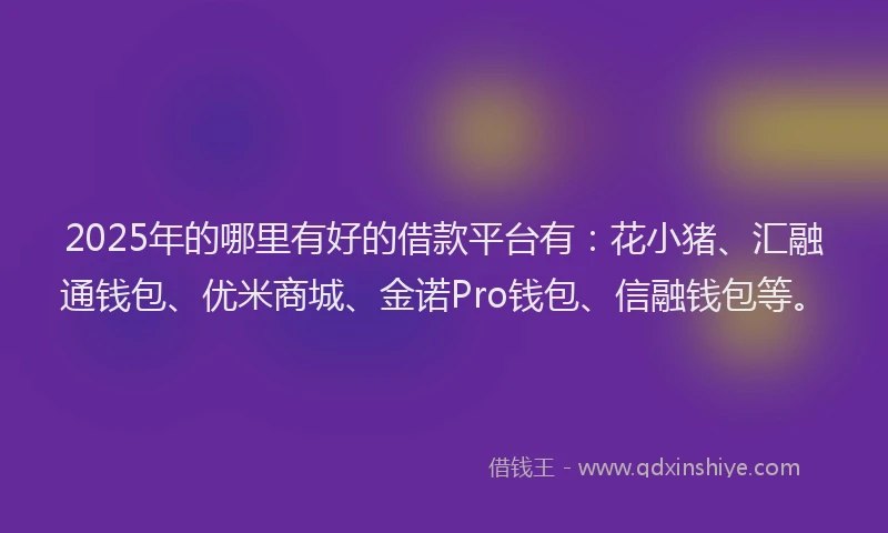 2025年的哪里有好的借款平台有:花小猪、汇融通钱包、优米商城、金诺Pro钱包、信融钱包等。