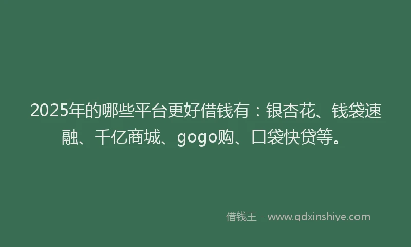 2025年的哪些平台更好借钱有:银杏花、钱袋速融、千亿商城、gogo购、口袋快贷等。