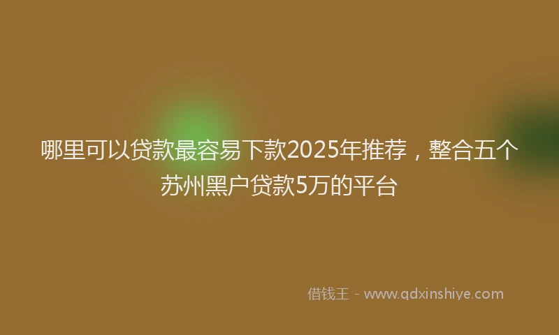 哪里可以贷款最容易下款2025年推荐，整合五个苏州黑户贷款5万的平台