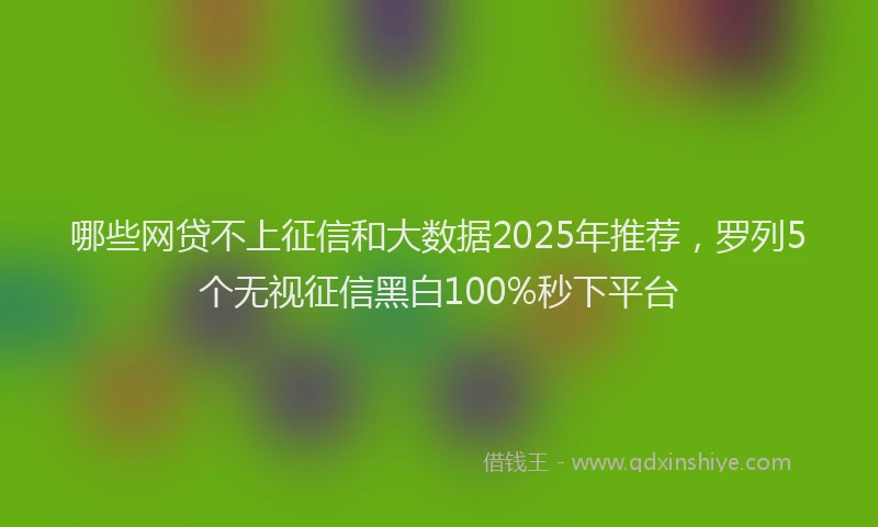 哪些网贷不上征信和大数据2025年推荐，罗列5个无视征信黑白100%秒下平台