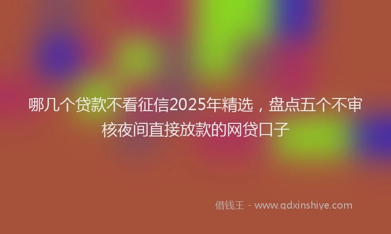 哪几个贷款不看征信2025年精选，盘点五个不审核夜间直接放款的网贷口子