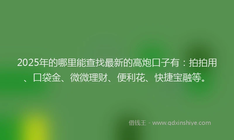 2025年的哪里能查找最新的高炮口子有：拍拍用、口袋金、微微理财、便利花、快捷宝融等。