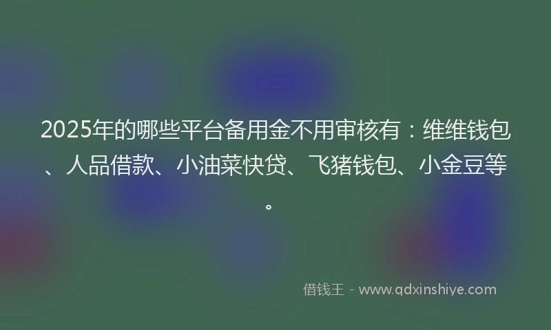 2025年的哪些平台备用金不用审核有：维维钱包、人品借款、小油菜快贷、飞猪钱包、小金豆等。