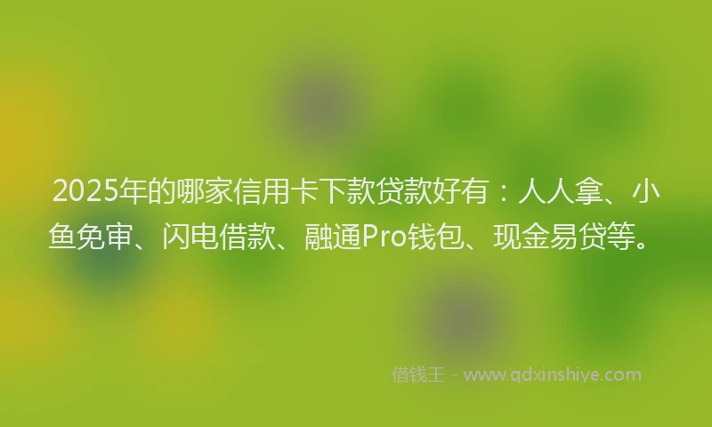 2025年的哪家信用卡下款贷款好有：人人拿、小鱼免审、闪电借款、融通Pro钱包、现金易贷等。