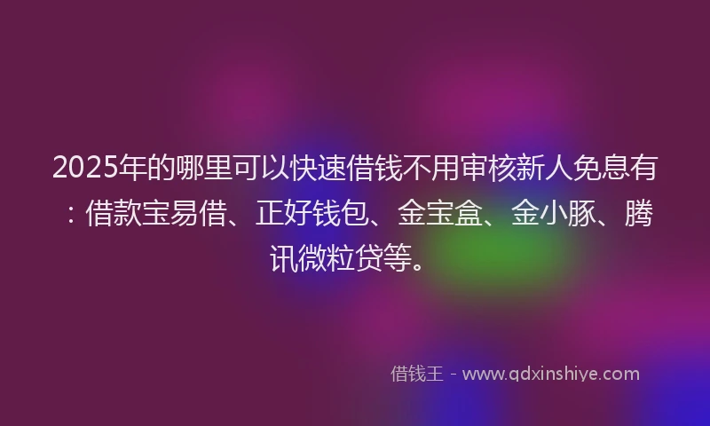 2025年的哪里可以快速借钱不用审核新人免息有：借款宝易借、正好钱包、金宝盒、金小豚、腾讯微粒贷等。
