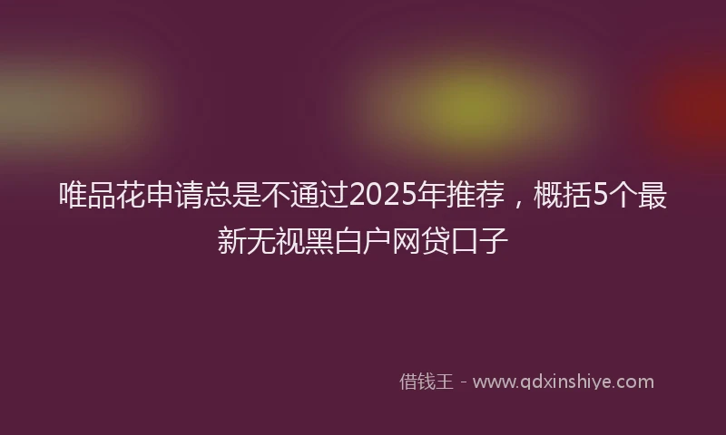 唯品花申请总是不通过2025年推荐，概括5个最新无视黑白户网贷口子