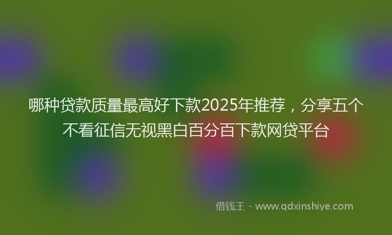 哪种贷款质量最高好下款2025年推荐，分享五个不看征信无视黑白百分百下款网贷平台