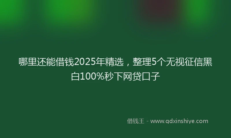哪里还能借钱2025年精选，整理5个无视征信黑白100%秒下网贷口子