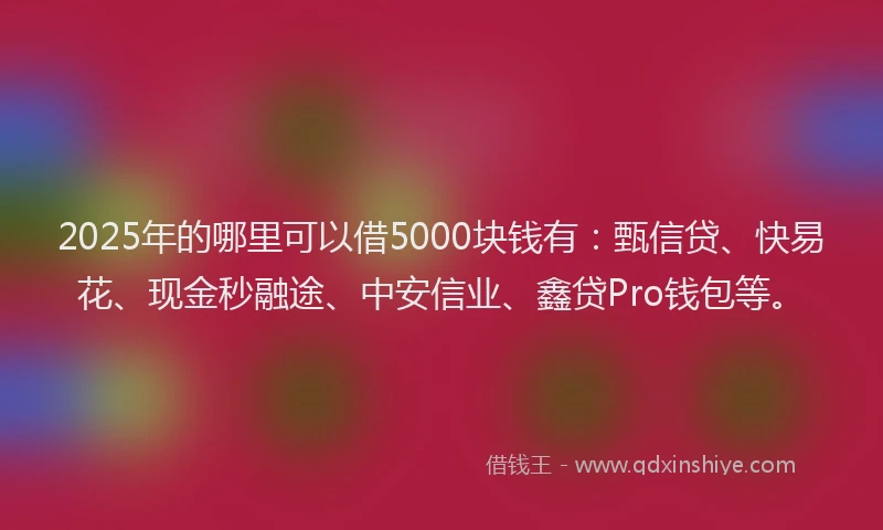 2025年的哪里可以借5000块钱有：甄信贷、快易花、现金秒融途、中安信业、鑫贷Pro钱包等。
