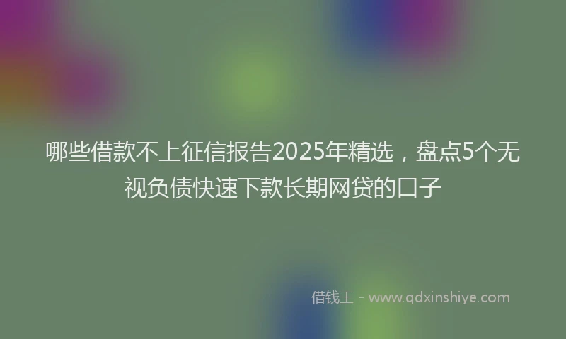 哪些借款不上征信报告2025年精选，盘点5个无视负债快速下款长期网贷的口子