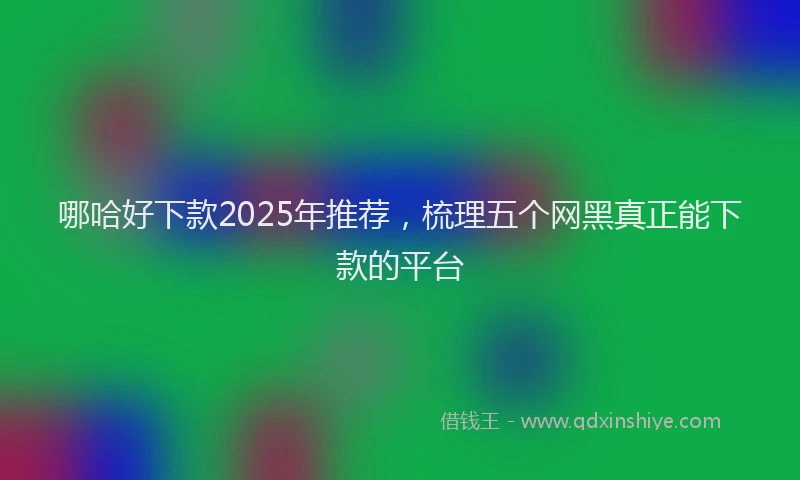 哪哈好下款2025年推荐，梳理五个网黑真正能下款的平台