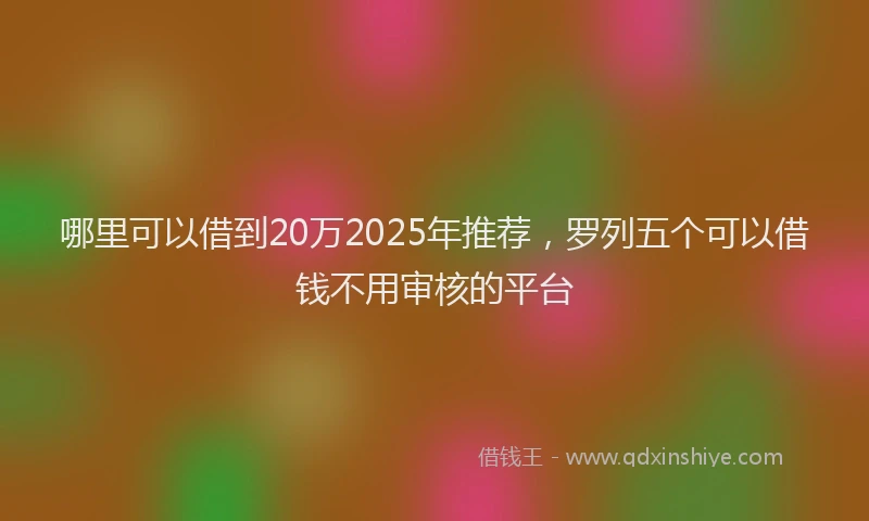 哪里可以借到20万2025年推荐，罗列五个可以借钱不用审核的平台