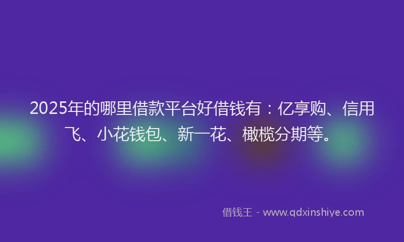 2025年的哪里借款平台好借钱有：亿享购、信用飞、小花钱包、新一花、橄榄分期等。