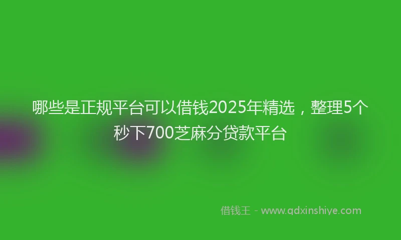 哪些是正规平台可以借钱2025年精选，整理5个秒下700芝麻分贷款平台