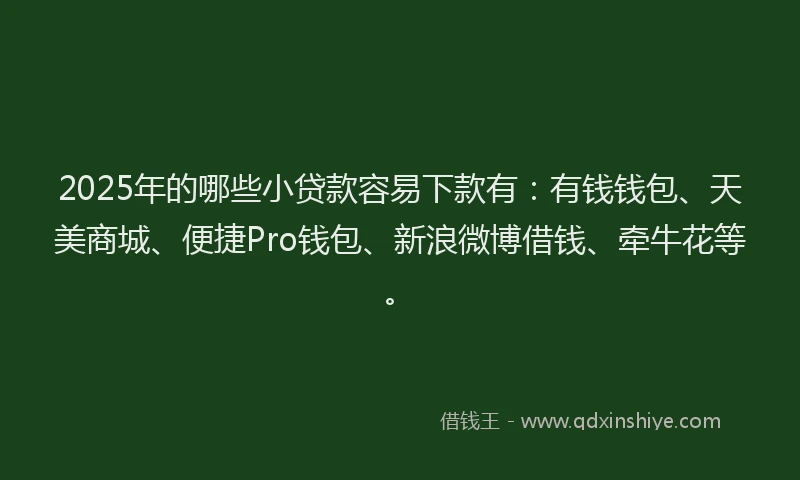 2025年的哪些小贷款容易下款有：有钱钱包、天美商城、便捷Pro钱包、新浪微博借钱、牵牛花等。