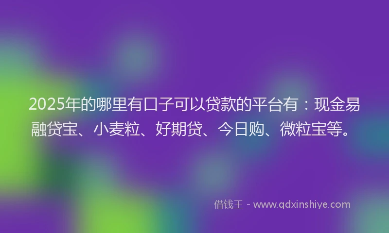 2025年的哪里有口子可以贷款的平台有：现金易融贷宝、小麦粒、好期贷、今日购、微粒宝等。