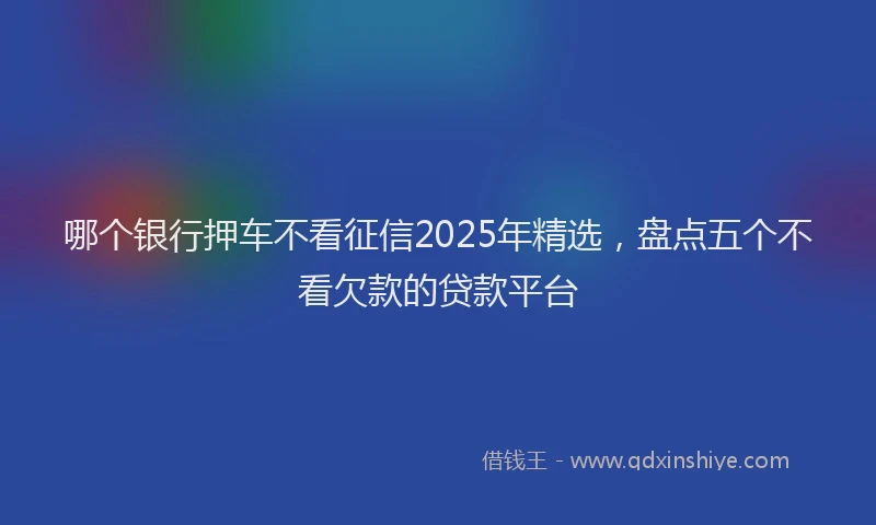 哪个银行押车不看征信2025年精选，盘点五个不看欠款的贷款平台