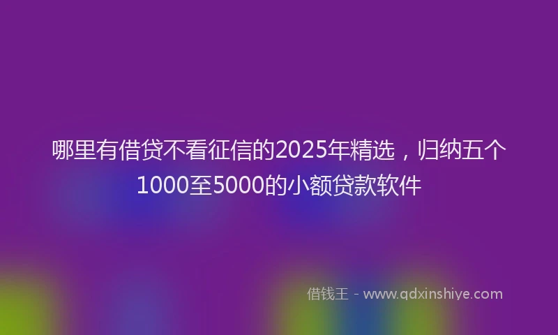 哪里有借贷不看征信的2025年精选，归纳五个1000至5000的小额贷款软件