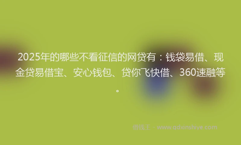 2025年的哪些不看征信的网贷有：钱袋易借、现金贷易借宝、安心钱包、贷你飞快借、360速融等。