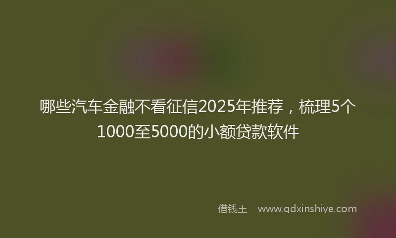 哪些汽车金融不看征信2025年推荐，梳理5个1000至5000的小额贷款软件