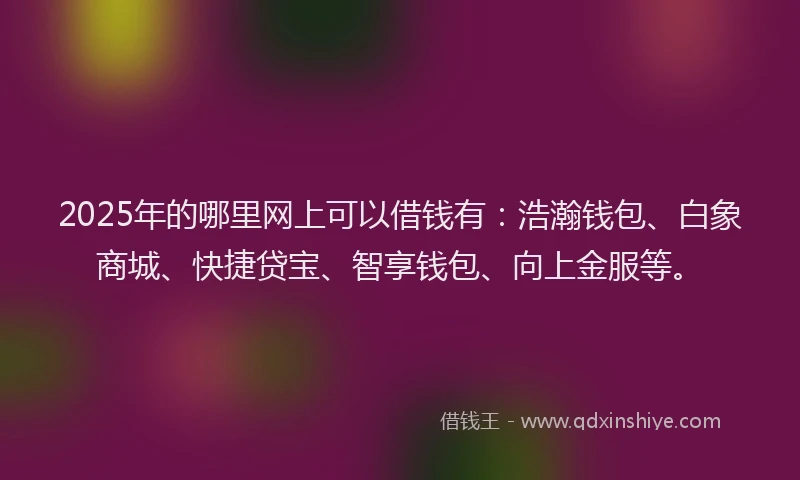 2025年的哪里网上可以借钱有:浩瀚钱包、白象商城、快捷贷宝、智享钱包、向上金服等。
