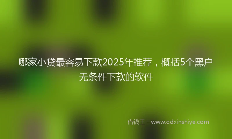 哪家小贷最容易下款2025年推荐，概括5个黑户无条件下款的软件