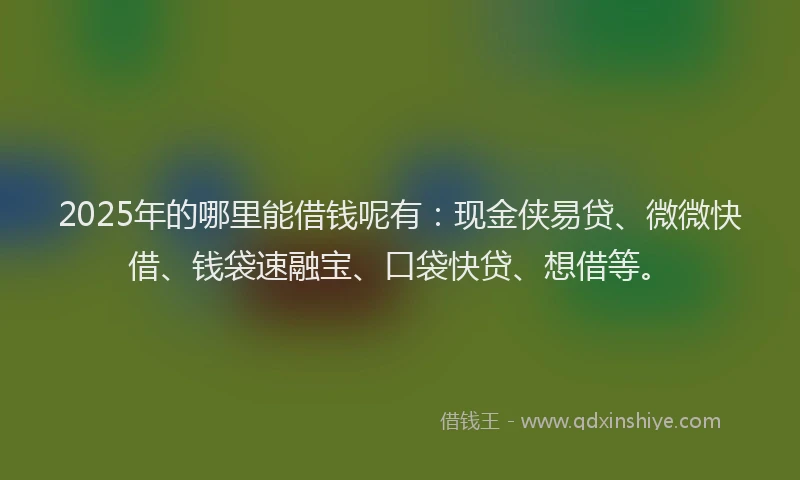 2025年的哪里能借钱呢有：现金侠易贷、微微快借、钱袋速融宝、口袋快贷、想借等。