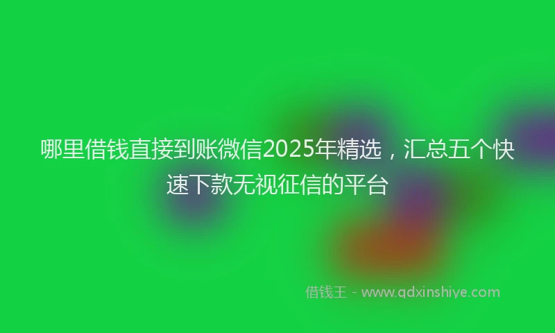 哪里借钱直接到账微信2025年精选，汇总五个快速下款无视征信的平台