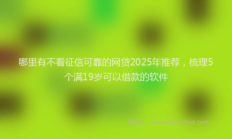 哪里有不看征信可靠的网贷2025年推荐，梳理5个满19岁可以借款的软件