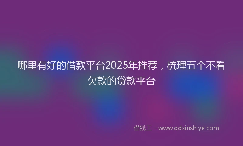 哪里有好的借款平台2025年推荐,梳理五个不看欠款的贷款平台